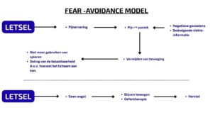 Het Fear-avoidance model, oftewel: het angst-ontwijkings model. Dit model beschrijft de gedachtegang die een mens kan hebben bij het ervaren van pijn en het omgaan hiermee. Dit geldt ook voor artrose pijn.