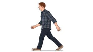 De kuitspieren spelen een essentiele rol in het wandelen - afzetten, afwikkelen van de voet, balans. Bij een versleten knie is het belangrijk dat deze spieren het gewricht goed ondersteunen.