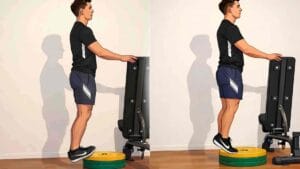 De calf raise is een oefening waarmee de kuitspieren (soleus en gastrocnemius) getraind worden.