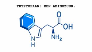 Tryptofaan is een aminozuur, dit is een van de bouwstenen van eiwit.