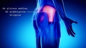 De gluteus medius (de middelgrote bilspier), deze spier zorgt voor abductie van de heup. En is verantwoordelijk voor stabiliteit van de knie.
