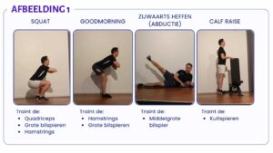 Knie oefeningen artrose - squat, goodmorning, zijwaarts heffen (abductie), calf raise.